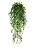 Hanging Greenery – Natural Decorative Plant Accent